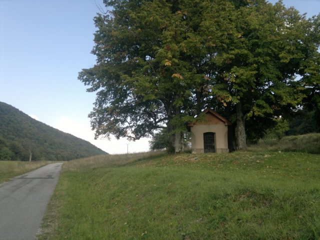 2017